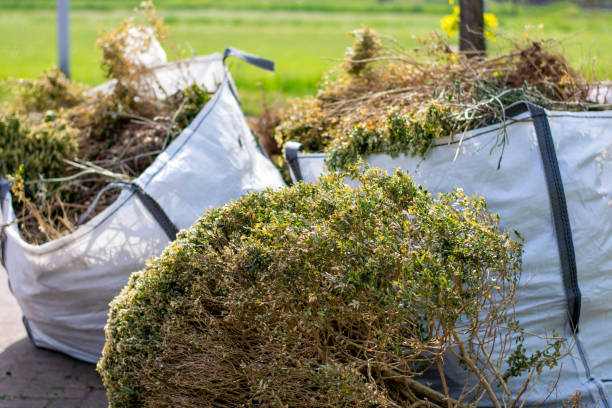 Best Moving and Downsizing Cleanouts  in Virginia Gardens, FL